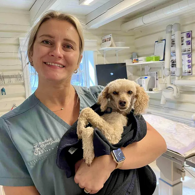 Hund holdes av en person i grønn uniform